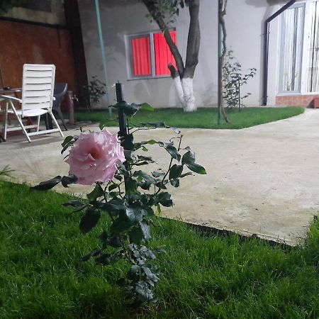 Apartamento Cazare La Mare Patrascu Constanţa Exterior foto