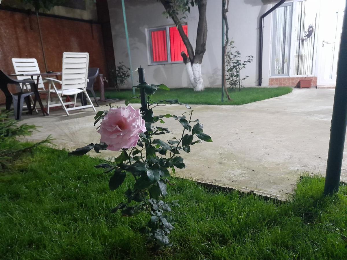 Apartamento Cazare La Mare Patrascu Constanţa Exterior foto